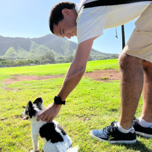 O cão mais estiloso do Havaí
